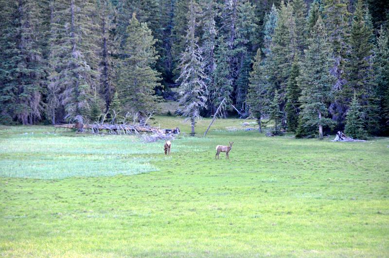 1006111905-Baldy 084.jpg
